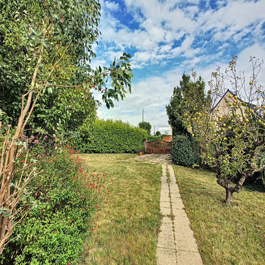 Vente 5' de Paimpol  Le Marchand Conseil Immobilier